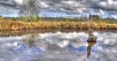 Have you seen this Indian sculpture park in… Wicklow?
