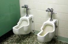 9 things you may find in a strange toilet