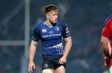 Without Schmidt Leinster will still thrive, insists Dominic Ryan