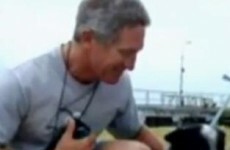 Diver missing after attack by two sharks
