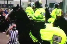 So it turns out the Newcastle fan who punched a horse is an animal lover