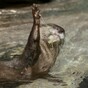13 high fives you'll definitely want to get in on