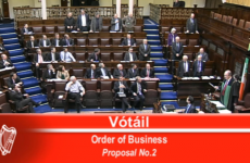 'Not fit for purpose?' Why the Dáil's party whip system may need reform