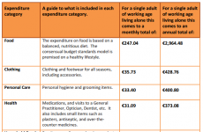 PIC: How much a single person can spend under the new insolvency rules