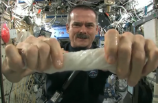 VIDEO: What happens when you wring out a damp cloth in space?