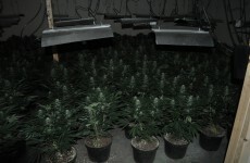 Two further arrests after €2.5m drugs seizure