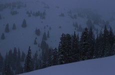 Five snowboarders killed in Colorado avalanche