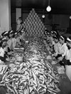 12 post-war assembly lines you’re glad you don’t work on