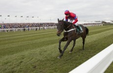 Believe the hype: here's why punters will pack into Punchestown to see Sprinter Sacre