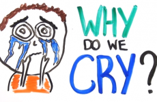 Here's why you might be crying this Tuesday morning