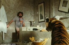 Woman comes face to face with circus tiger in bathroom