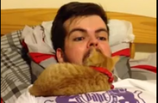 VIDEO: Man almost makes a meal out of cat