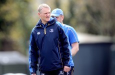 Joe Schmidt named as new Ireland head coach