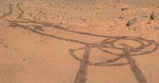 Mars Rover draws huge willy on planet surface