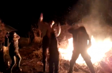 Man tries Harlem Shake, falls into bonfire