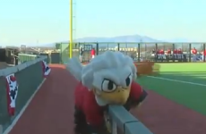 WATCH: These team mascots were not hired for being graceful