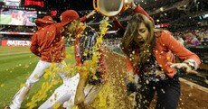 It’s Sunday so here are 12 great pics from the past 7 days