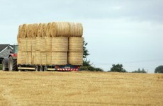 Coveney extends fodder scheme: 'No animals should die of starvation'
