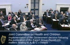 Committee to decide if advocacy groups should attend abortion law hearings