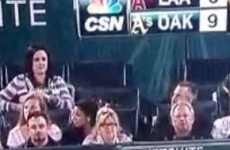 Woman takes weird selfie of her boobs while at a baseball game