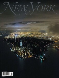 This amazing magazine cover is officially the best of 2012