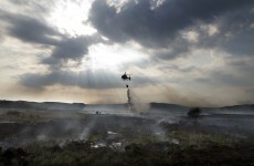 Bank Holiday forest and land fire warning