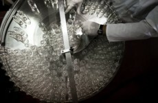 Exports rose during 2010: CSO
