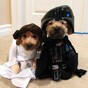 May the Fourth be with you, from us and these dogs