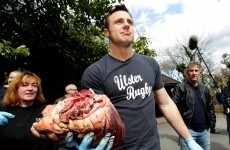 Pro12 Cheat Sheet: Your guide to this weekend’s rugby action