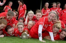 Cork and Limerick claim honours in camogie league finals