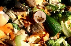 Irish households 'waste €700 a year' throwing out rotten food