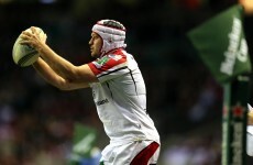 'Rory Best didn't have anyone fighting his Lions case, others did'