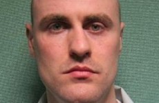 Missing sex offender back in custody after handing himself in