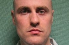 Missing sex offender back in custody after handing himself in