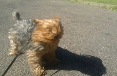 It's going to be fierce windy this evening... here's how to cope