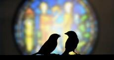 Weird Wide Web: Pizza, glass tweets, and a text pest