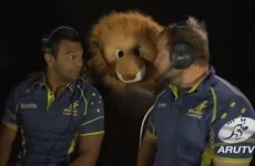 The Aussies' 'Living With A Lion' spoof will make you want to beat them even more