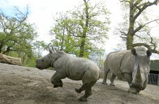 Top readers' comments of the week