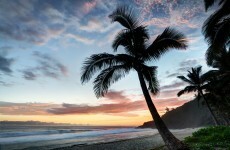 French honeymooner killed by shark off Reunion island