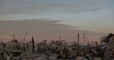 PICTURES: The ruins of an Argentine town drowned by saltwater