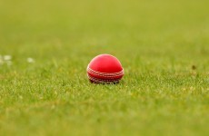 Cheat sheet: a beginner’s guide to the world of cricket