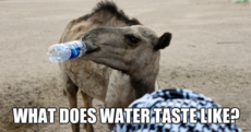 8 things you can't describe, no matter how hard you try