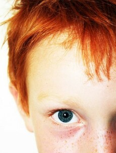 Gingerfest is go...