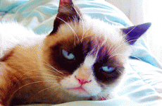 8 of the worst moments from an average day in your life