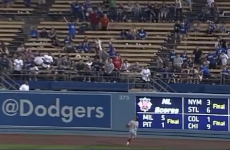 Ouch! Baseball star runs head-first into a wall