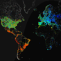Watch the entire internet at work in the world