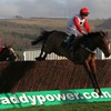 Cashing in: Paddy Power revenue jumps