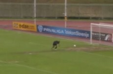 Worst. Goalkeeping performance. Ever.