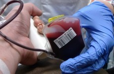 Three in four hospital interns take blood without gloves