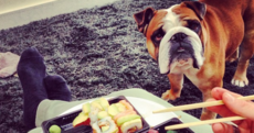 7 Irish people you should be 'folleyin' on Instagram
